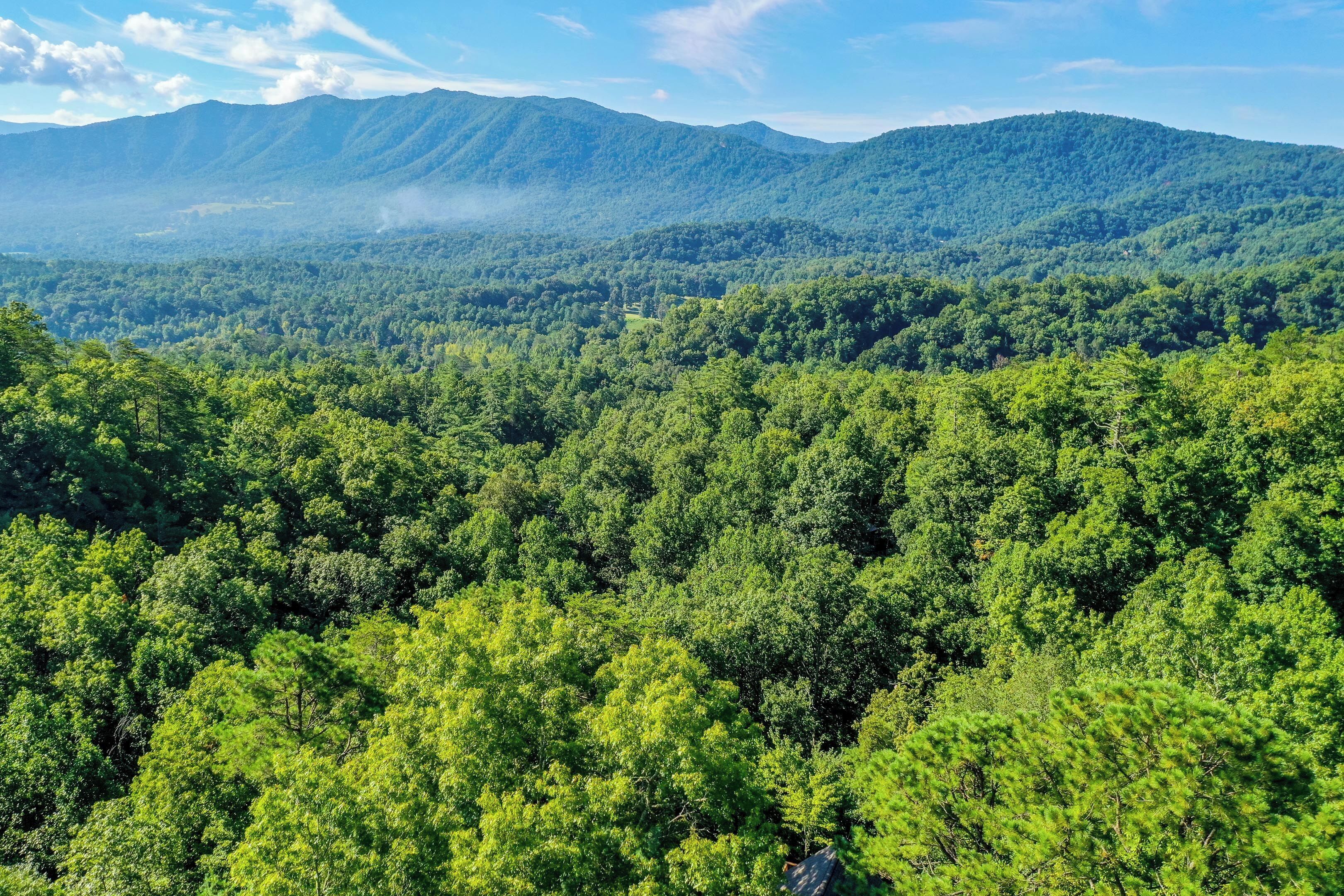 A forested mountain landscape with a clear sky.