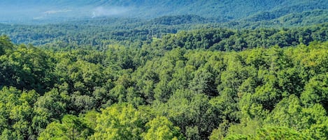 A forested mountain landscape with a clear sky.