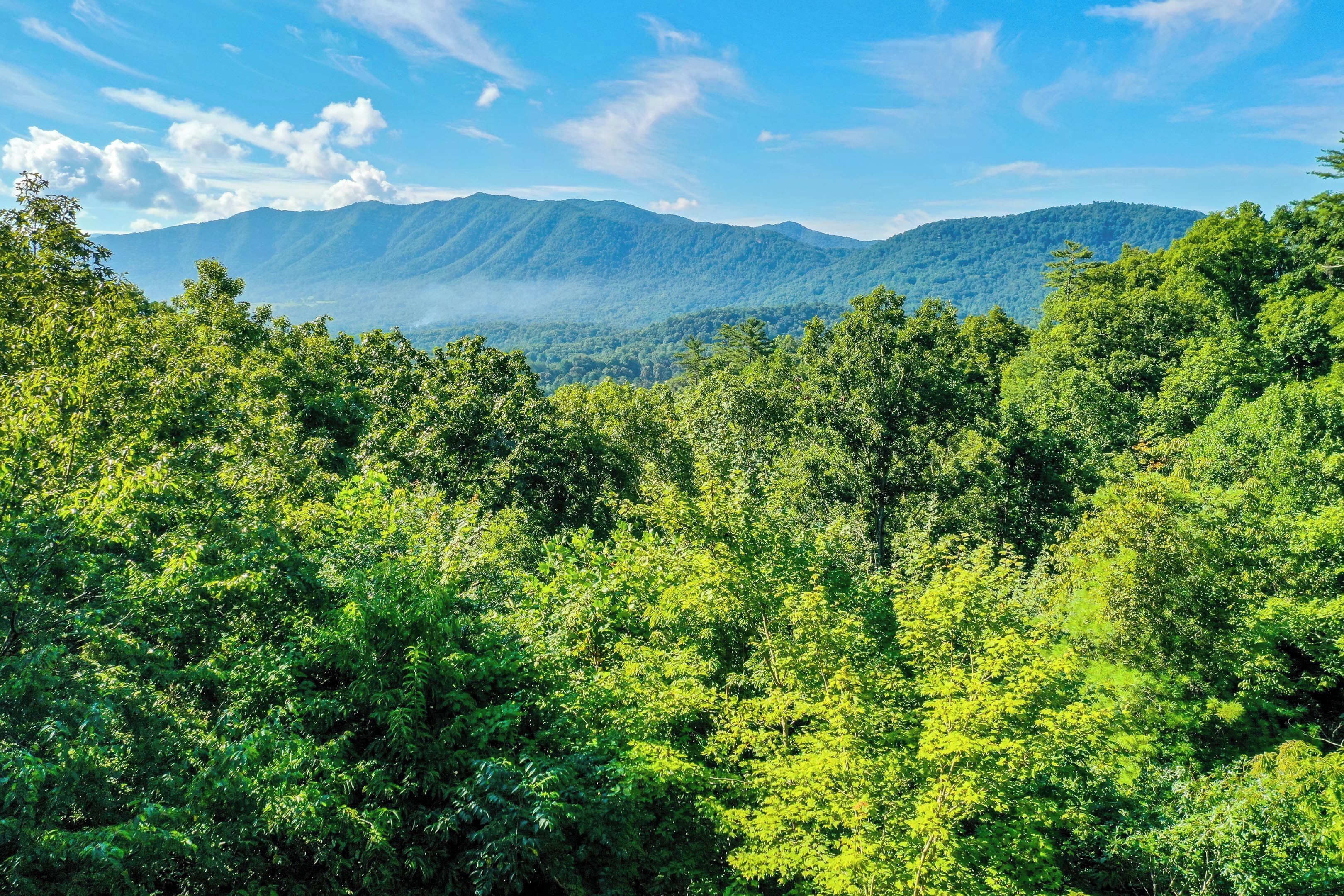 A mountainous landscape with dense green forest.