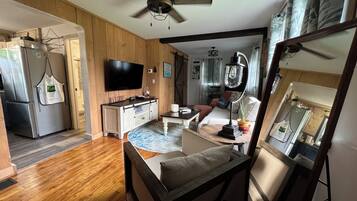 Smart TV, fireplace, books, music library