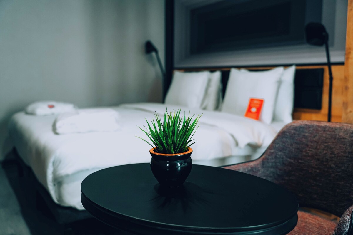A hotel room with a bed, a small potted plant on a round table, and a television on the wall.