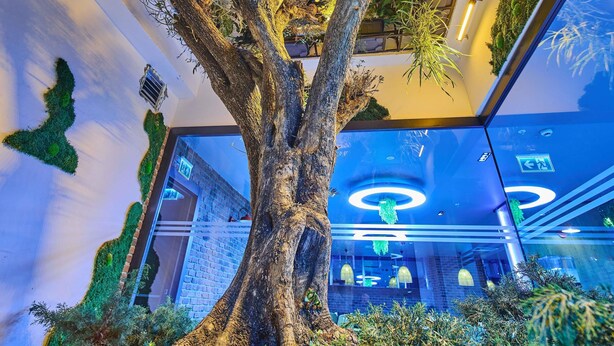 A large indoor tree with a modern interior design, including a brick wall and glass ceiling. - Ibis Istanbul Airport (Arnavutköy)