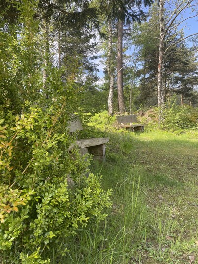Vacation home in a secluded location surrounded by woods and meadows.