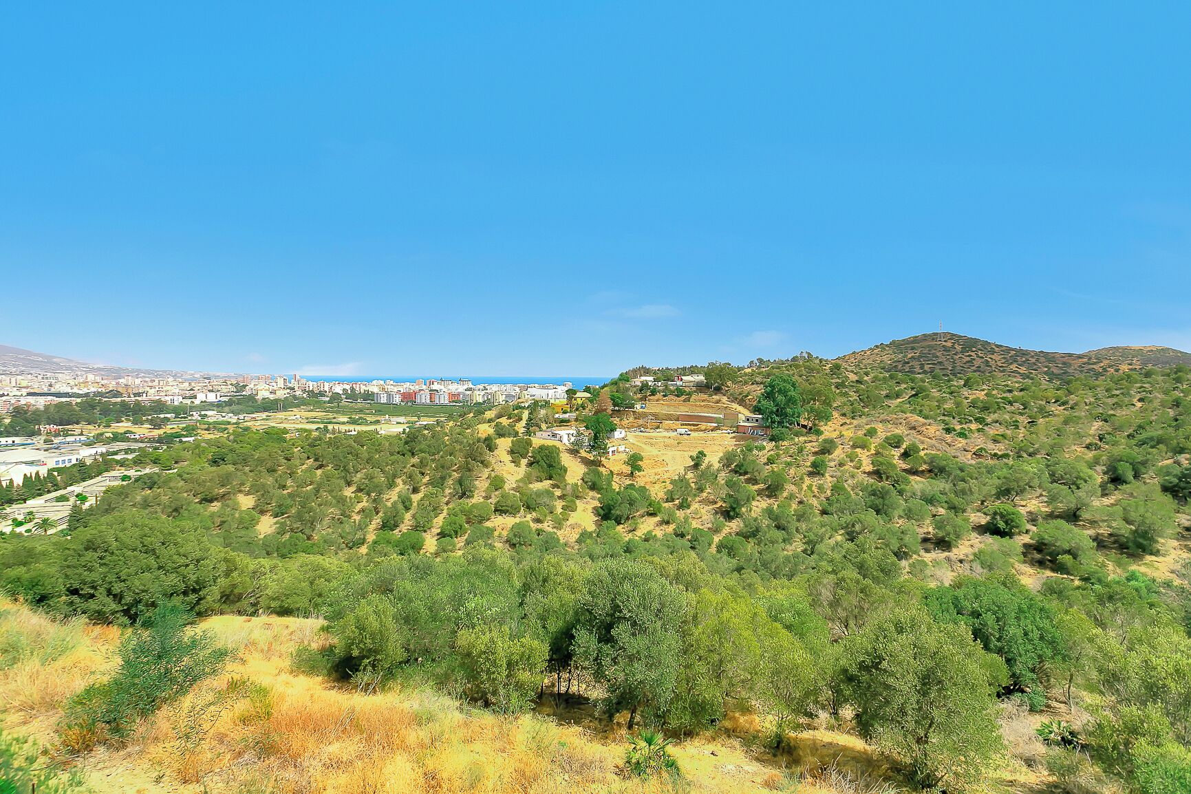 Vista panorámica de una ciudad costera, con una zona elevada con vegetación escasa y algunos edificios.