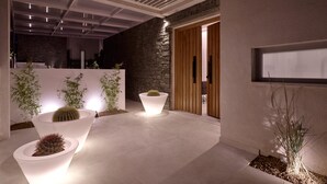 Un espace intérieur moderne avec un mur en pierre, une porte en bois et des jardinières éclairées contenant des cactus.