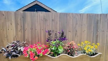 Área da propriedade