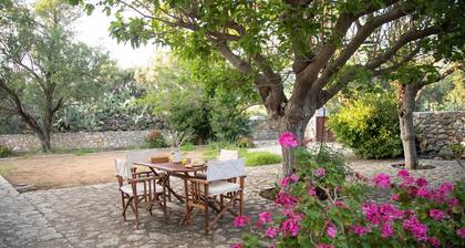 Anna's Garden,Stone house for 10,Charouda,Mani