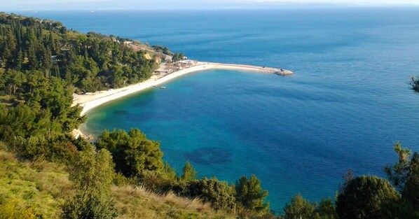 Eine Küstenlandschaft mit Strand, klarem, blauem Wasser und üppiger Vegetation.