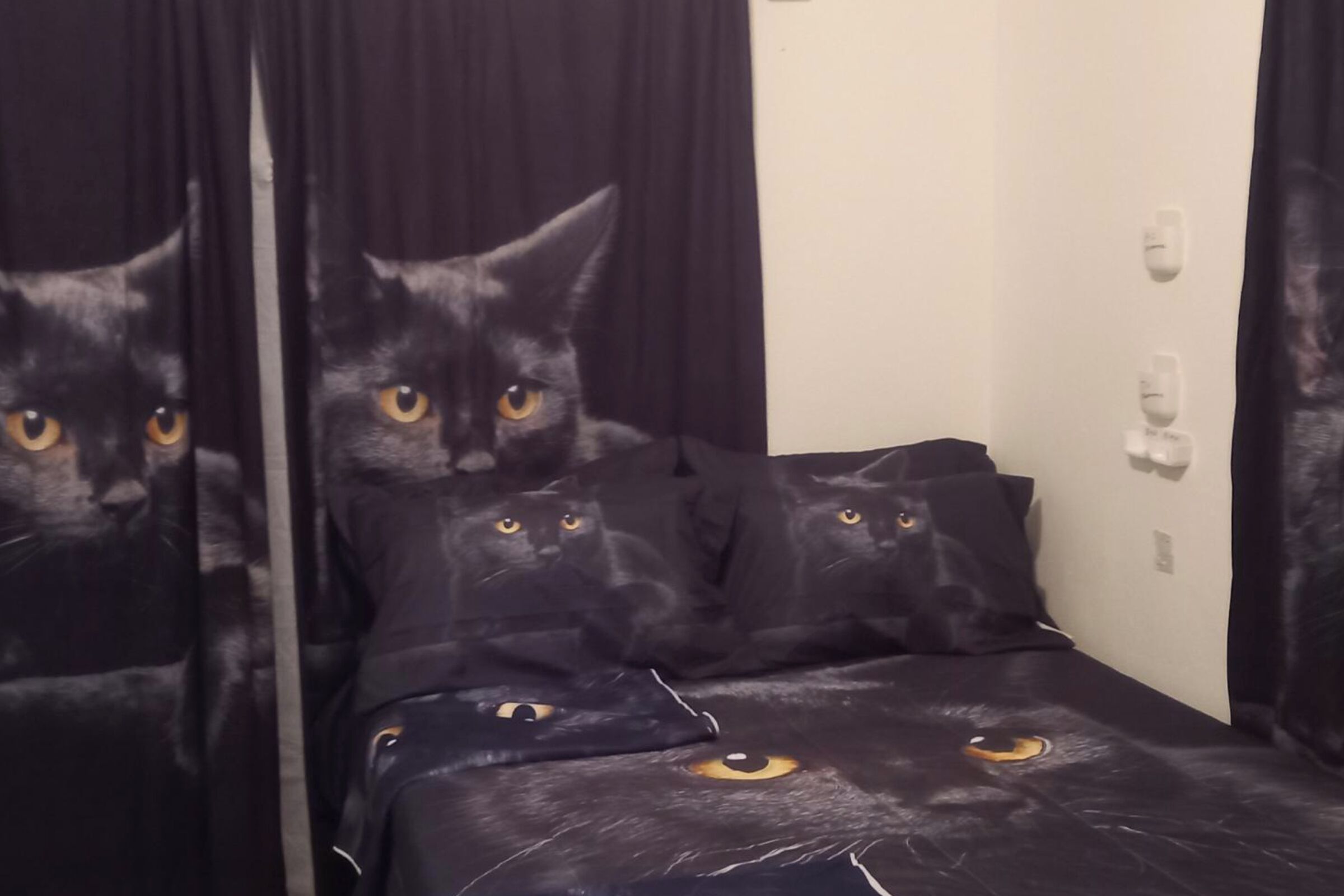 Ein Zimmer mit einem Bett, das mit schwarzen Bettwäsche mit Katzenmuster bezogen ist.