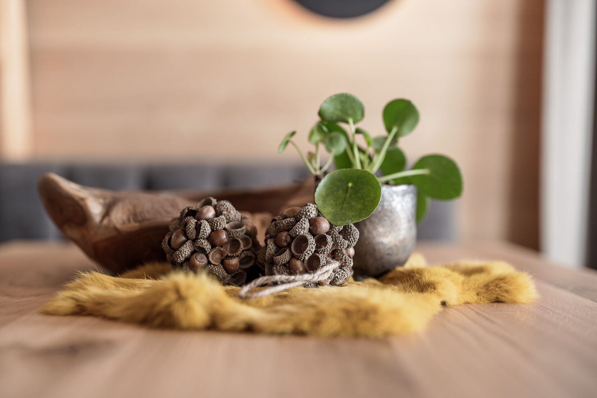 A wooden bowl with pine cones and a small potted plant on a wooden surface.