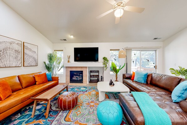 TV, fireplace, video games, DVD player