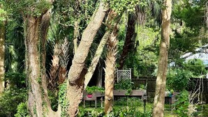 A garden with mature trees, a wooden bench, and a metal table with chairs. - Grady House Bed & Breakfast (High Springs)