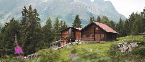 التنزّه سيراً على الأقدام