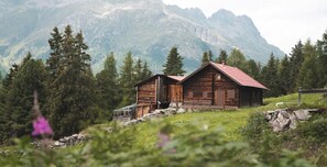 A rustic wooden cabin with a red roof, surrounded by lush greenery and mountains in the background. - MYALPS Historical (Oetz)