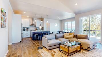 TV, fireplace, books