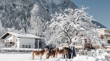 Majoituspaikan julkisivu