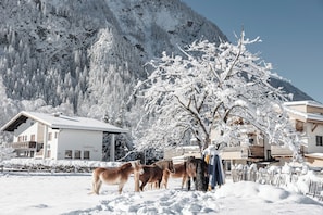 Front of property - MYALPS Mühlhof (Oetz)