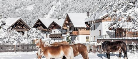 A snow-covered landscape with wooden buildings and horses grazing.