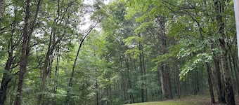 Friendly Fawn sleeps 4, or rent all 4 for 20. Horseback riding across the Rd!