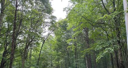 Friendly Fawn sleeps 4, or rent all 4 for 20. Horseback riding across the Rd!