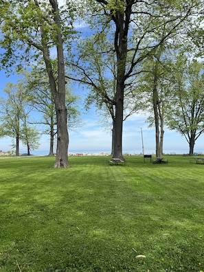A park with large trees, picnic tables, and benches.