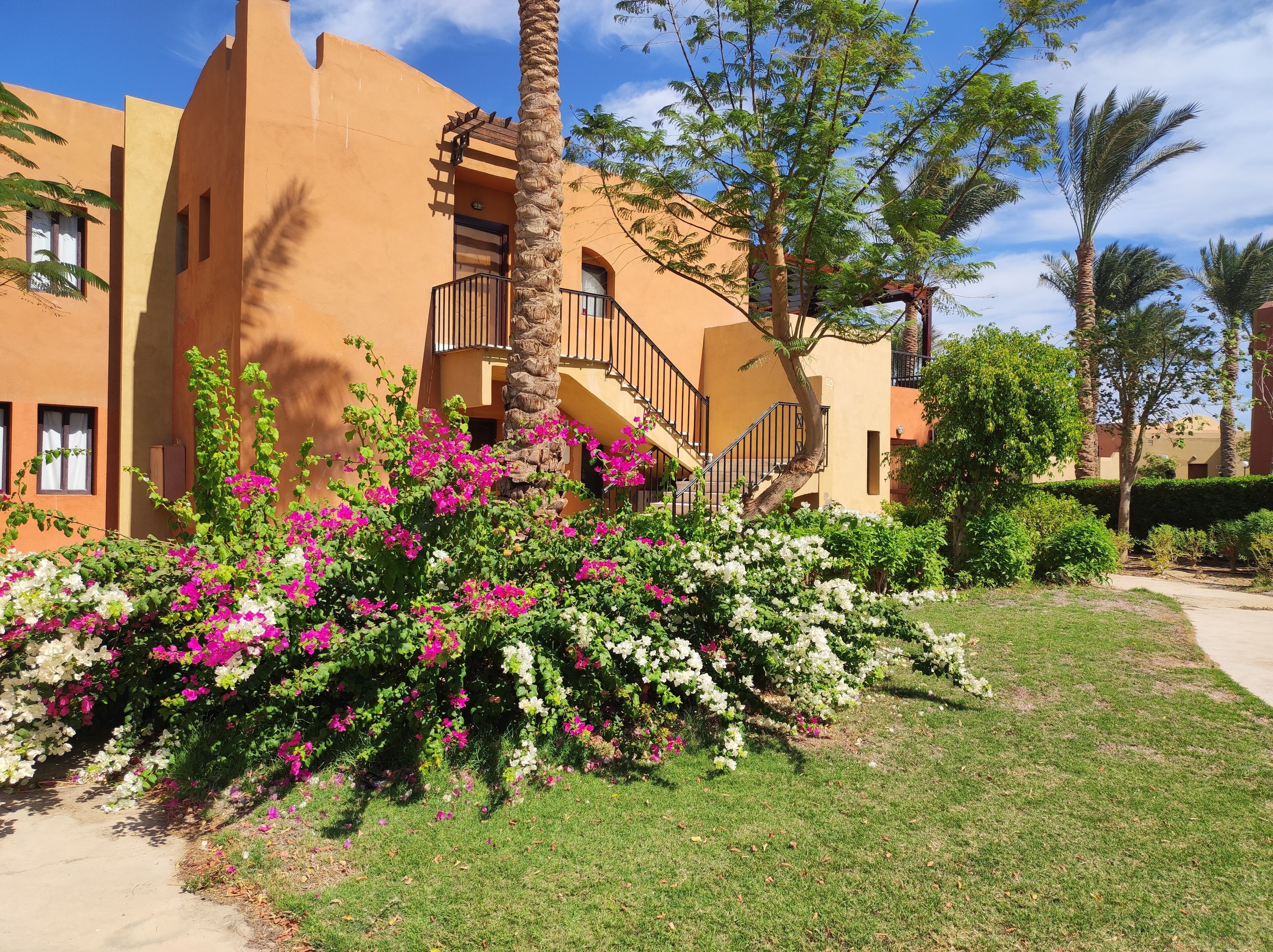 A building with a staircase, a palm tree, and a garden with pink and white flowers.