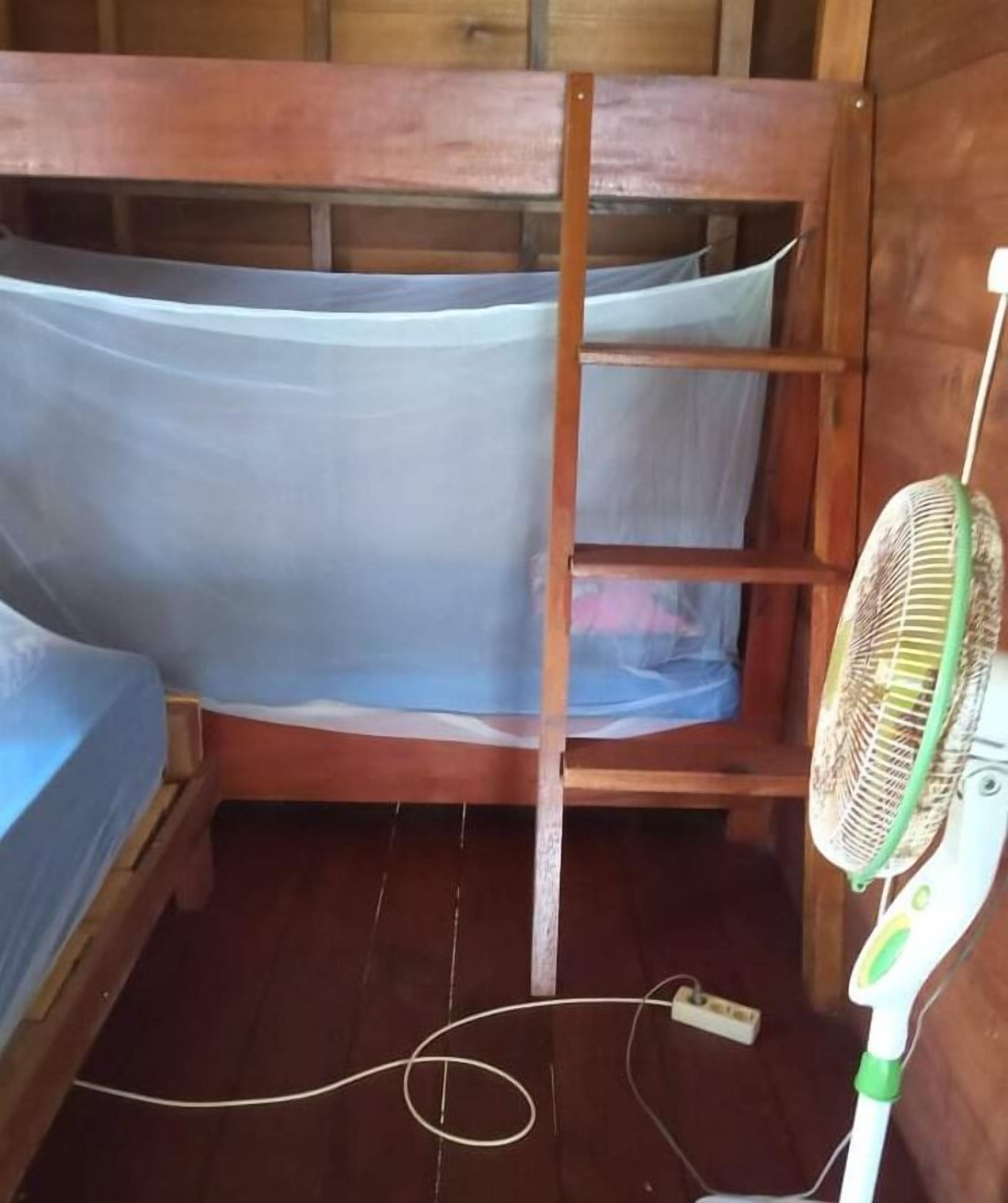A bunk bed with a ladder, a fan, and a power cord on the floor.