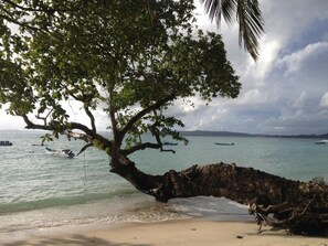Una playa con una gran rama de árbol que se extiende sobre la arena, barcos en el agua y una costa lejana.