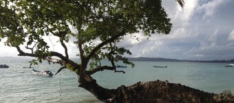 นยัง เอเบย์ ซิร์ฟ แคมป์