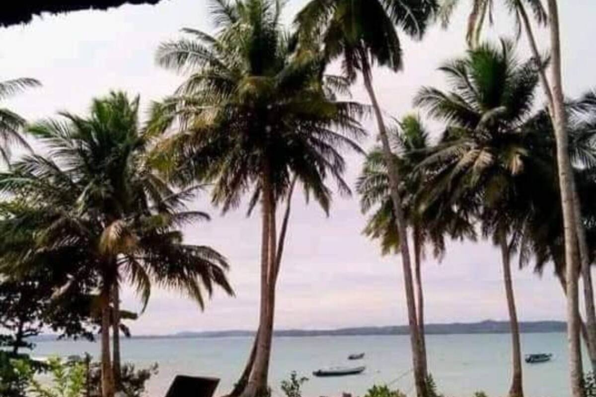 Une plage avec des palmiers, une chaise longue et un bateau sur l’eau.