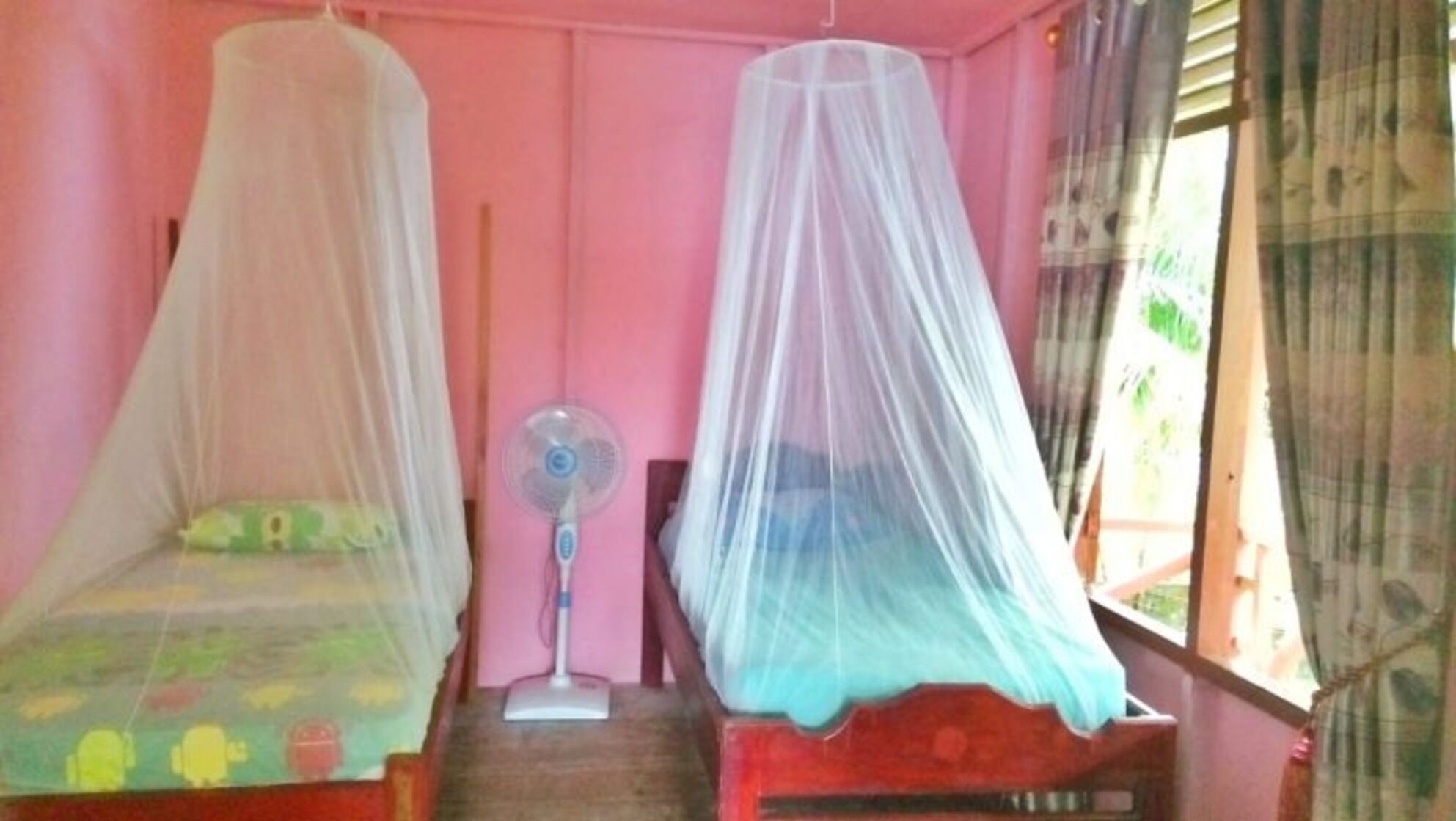 Two single beds with mosquito nets, a standing fan, and a window with curtains.