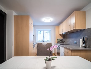 Fridge, oven, stovetop, dishwasher - Katzerhaus Ebensee (Ebensee)