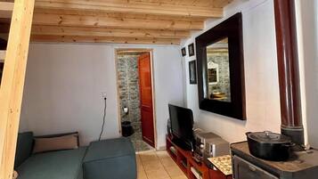 Smart TV, fireplace, books