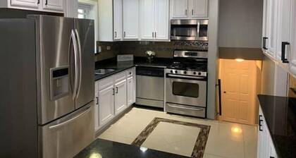 Full Modern House Near Downtown Chicago