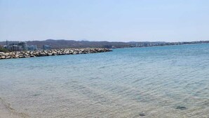 Ranta