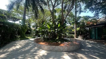 Jardín