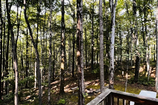 PRIVATE DECK W/ SCENIC VIEW