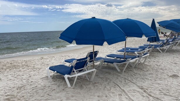 A beach with rows of blue sun loungers under blue umbrellas, facing the ocean.