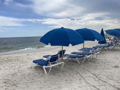 Spacious Newly Renovated Bay View Sweet Home