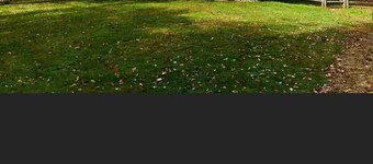 Quaint horse farm for a nice escape!