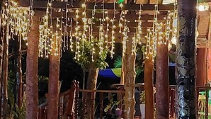 Une allée couverte, agrémentée de guirlandes lumineuses, de palmiers et d’une structure en bois rustique.