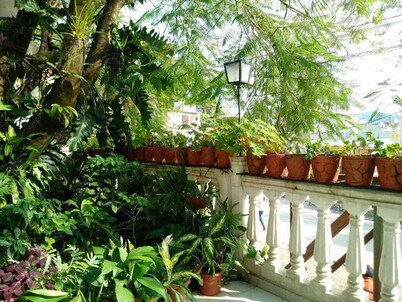 Hotel Posada Casa del Ingenio