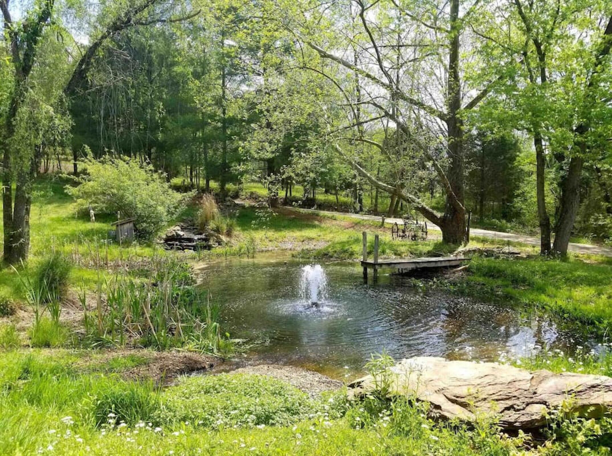 A serene pond surrounded by lush greenery and trees, with a small waterfall and a wooden dock.