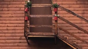 A wooden building with a staircase leading to a door, surrounded by potted plants.