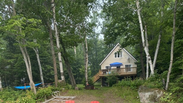 Eine hölzerne Mole führt zu einem Haus mit einer Terrasse, umgeben von Bäumen und einem kleinen Bach.