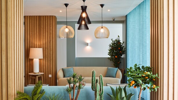 A modern living room with a sofa, decorative lighting, and various plants. - Rochavau Hotel (Portimão)