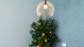A room with a blue wall, a wooden chair, a cactus, and a hanging light fixture. - Rochavau Hotel (Portimão)