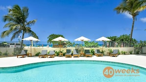 A poolside area with lounge chairs and umbrellas, a clear blue sky, and palm trees. - Hello Summer! beachfront studio in the heart of Orient Bay, pool direct access (Orient Bay)