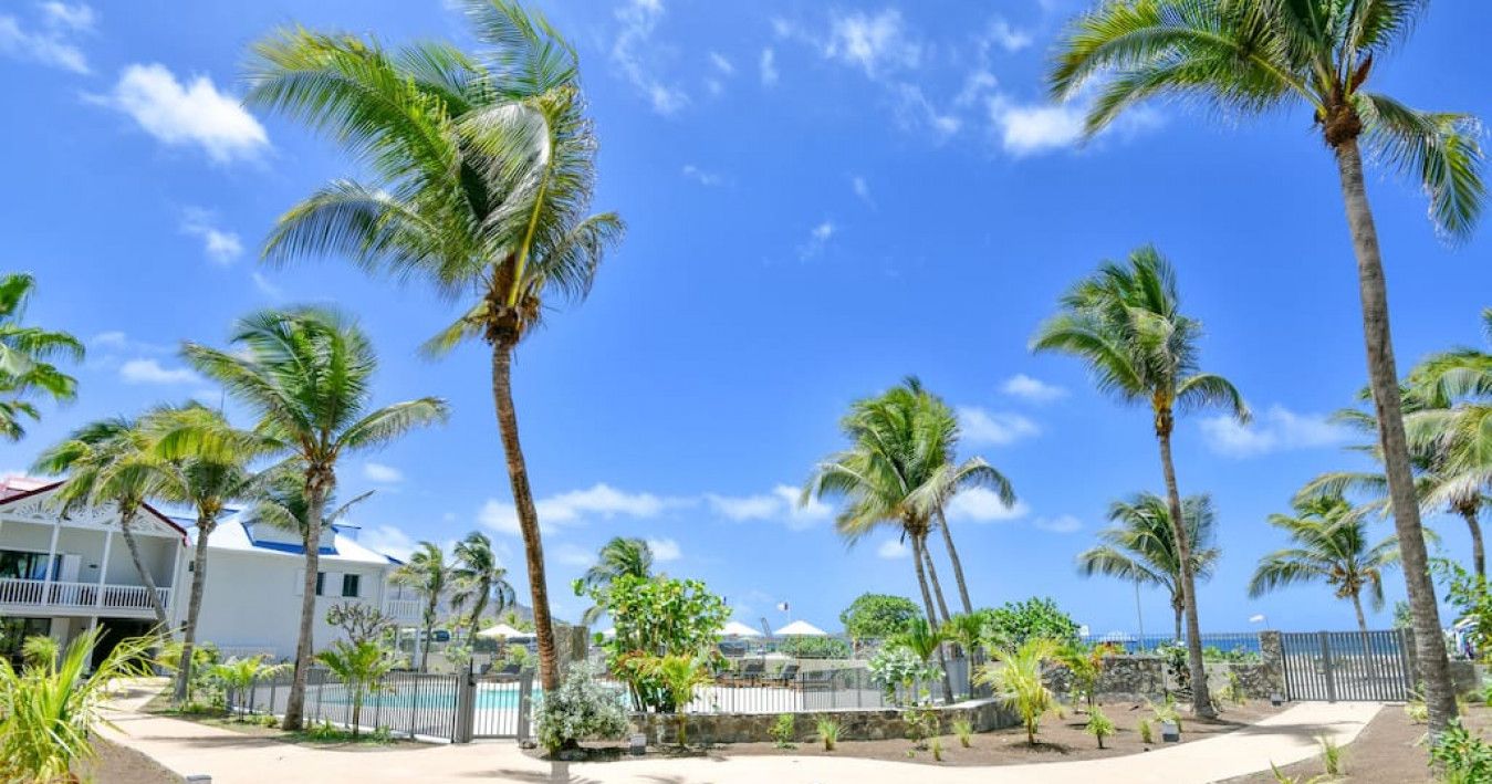 A resort with palm trees, a pool, and a star-shaped pavement.
