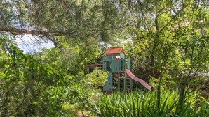 Una estructura de juegos verde con un tobogán, rodeada de abundante vegetación y árboles.